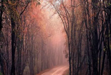 策略精准！主帅指挥棋逢对手，带领球队取得胜利